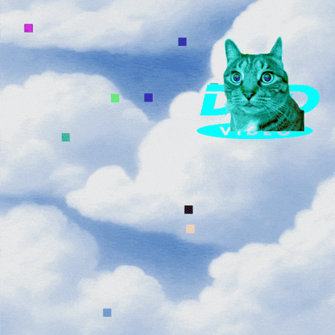 Retro Cat GIF by Furrend
