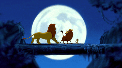 The lion king GIFs - Get the best GIF on GIPHY