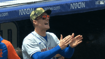 Ny Mets Sport GIF by MLB