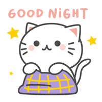 Good Night Cat GIF by Kiki