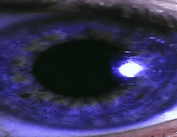 Video gif. A close up of a human eye shows a black pupil repeatedly growing larger and smaller. 