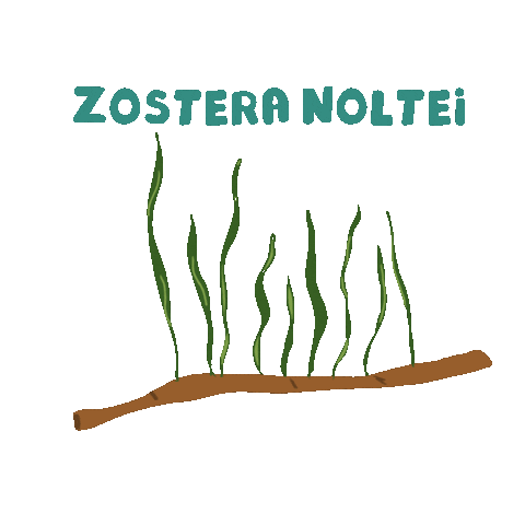 investigacionuca Sticker