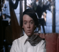 harold and maude cult movies GIF by absurdnoise