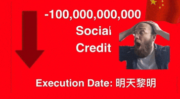 Social Credit GIF