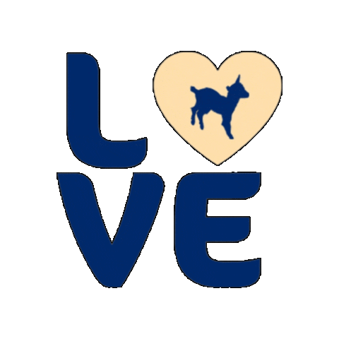 Kabrita Arabia Sticker