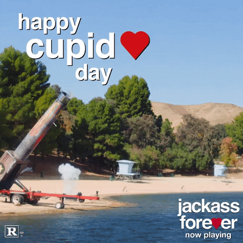 Valentines Day Fly GIF by Jackass Forever