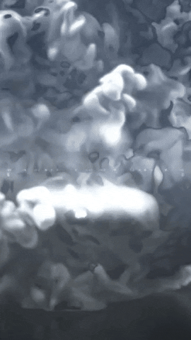 OVERPLUS GIF