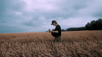 Corn Field Guitar GIF by Owen Riegling