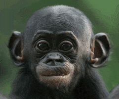 200.gif