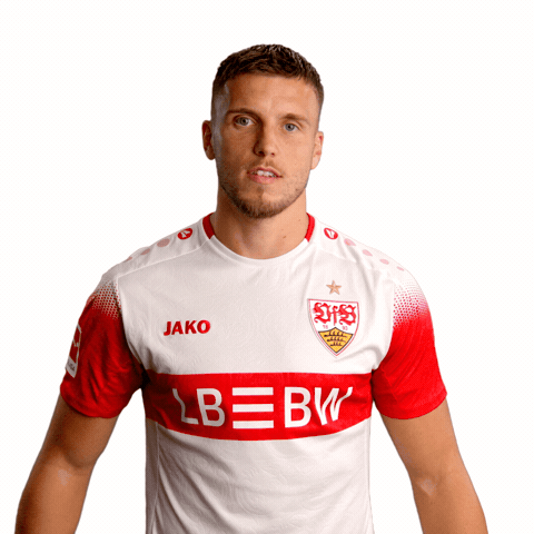 Big L Respect GIF by VfB Stuttgart 1893