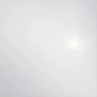 BIRDY GIF