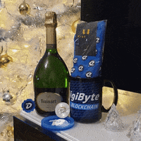 Champagne Bitcoin GIF by DigiByte Memes