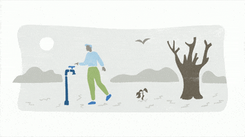 200.gif?cid=fc005b08b805164740bdc8bf8cb5b9b81cd7cc2d23b96a43&ep=v1_gifs_random&rid=200.gif&ct=g