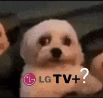 Lgbt GIF