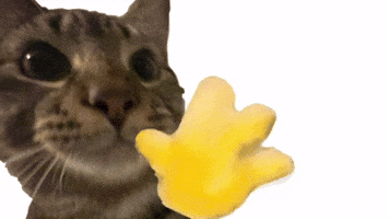 Pickles GIF