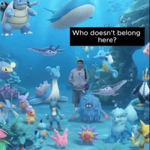Pokemon Whoishe GIF