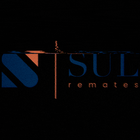 Sul GIF by SulRemates