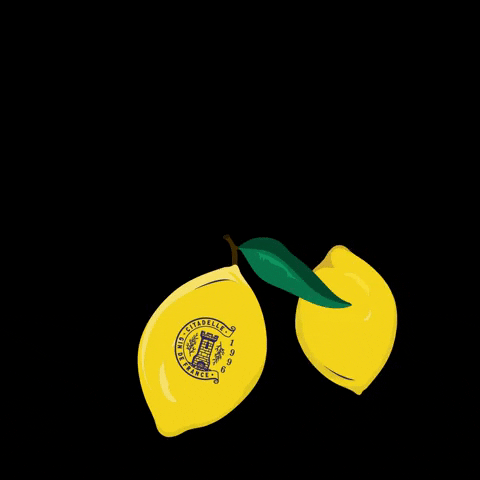 Fruit Lemon GIF by Maison Ferrand