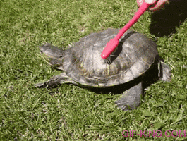 Cleaning Everyone GIF