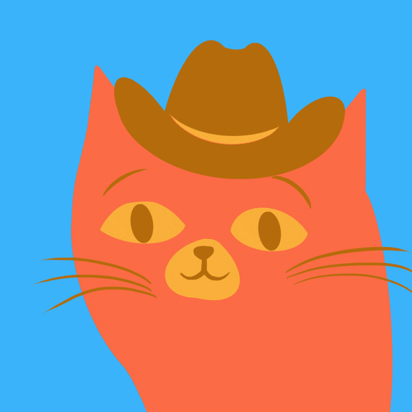 mishaspice cat animal scared hat GIF
