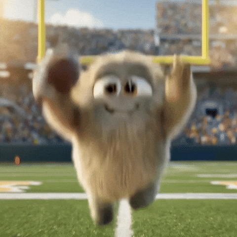 Celebrating New England Patriots GIF by Calmlings