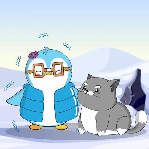 Cat Freezing GIF by Pudgy Penguins