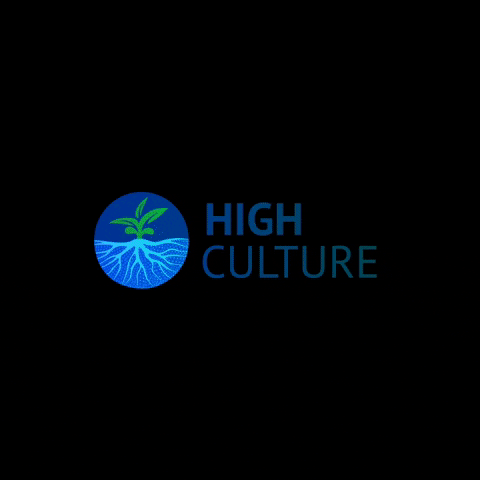 High Culture GIF