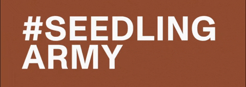 Brand Strategy GIF by The Julia Braga