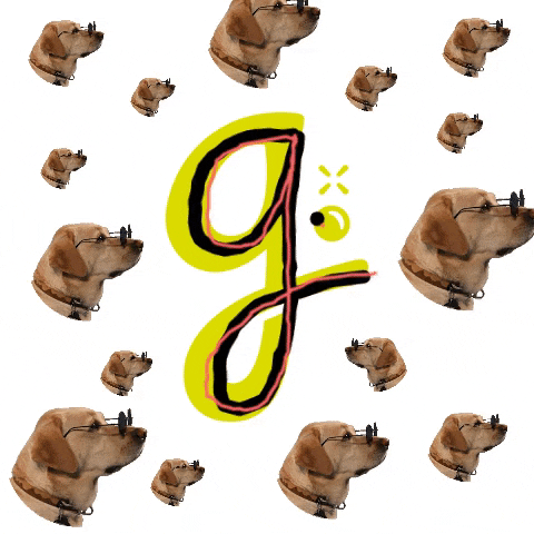 Gasosa dog agencia oculos comunicacao GIF