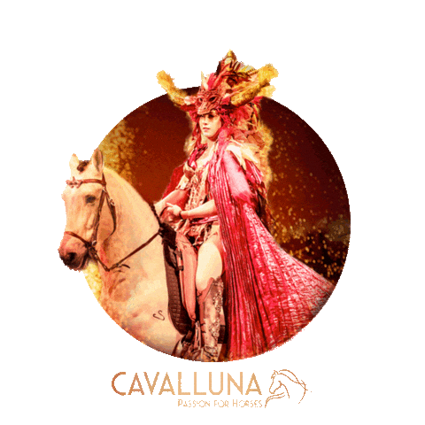 Ahoy Rotterdam Sticker