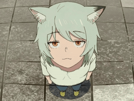 Unimpressed Cat GIF