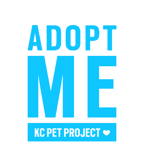 Kcpp Adoptkc Sticker by KC Pet Project