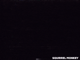 Area 51 GIF by Squirrel Monkey