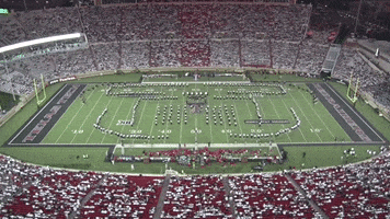 Doublet Redraiderfootball GIF