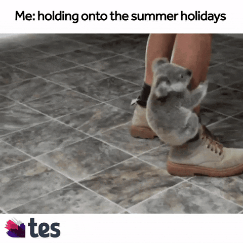 School Education GIF by Tes World : Teachers