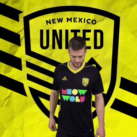 Pro Soccer GIF by New Mexico United