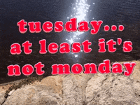 Happy-tuesday-morning GIFs - Get the best GIF on GIPHY