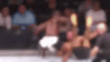 Ufc GIF