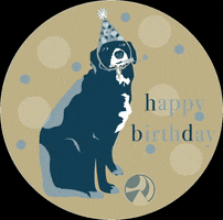 empressavenuemedia GIF