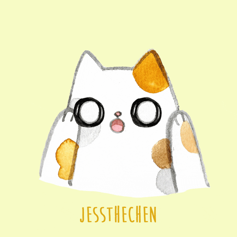 Shocked Cat Gif GIF by jessthechen
