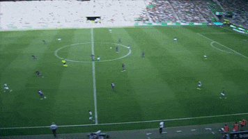 Top Asse GIF by AS Saint-Étienne