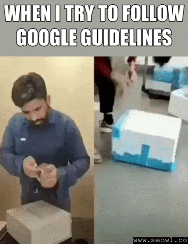 SEO meme about following the Google Guidelines