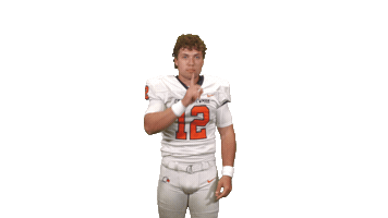 Cnfb26 Sticker by Carson-Newman Athletics