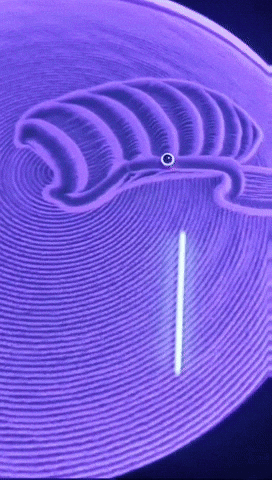 Sandtablebee GIF