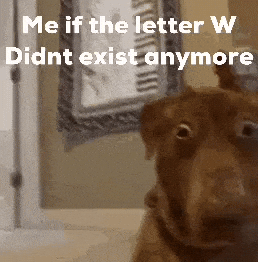 Me If The Letter W Didnt Exist Anymore GIF