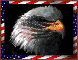 fireworks animations GIF