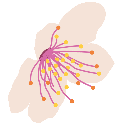 Sughero Slow Cafe Sticker