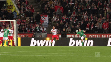 Save 1 Fc Cologne GIF by 1. FC Köln