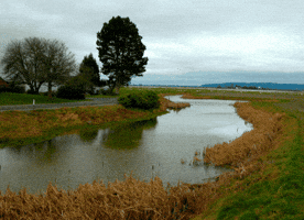 Dr Michael Piepkorn GIF