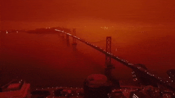 Wildfires Gifs Get The Best Gif On Giphy